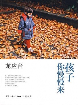 孩子你慢慢来【龙应台】eybook.com